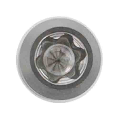 M6 torx head