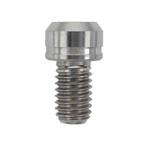 M6 x 10 mm Titanium torx head silver